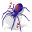 spidersolitaire.png